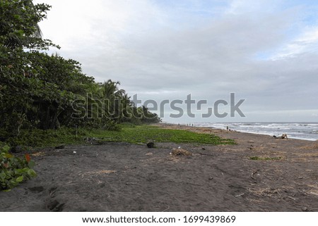 Beach in Tortuguerro pacific coast in Costa Rica, Central America