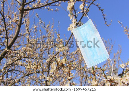 A medical blue mask hangs on a blossoming apple tree in April 2020.