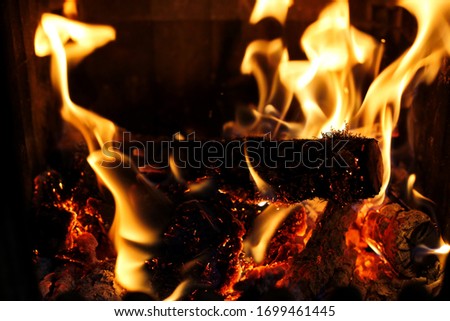 The flames of a burning fire