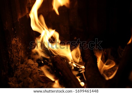 The flames of a burning fire