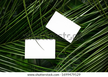 business card mockup on a botanical background with exotic leaves