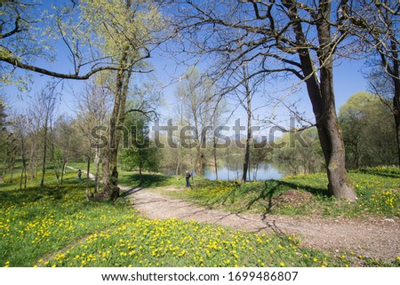 Spring in lake with yellow flowers Slovenian mountains 