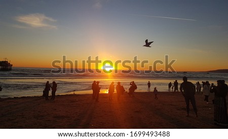 Sunset in the Pacific ocean in Los Angeles. With a Seagull. Horizontally and vertically