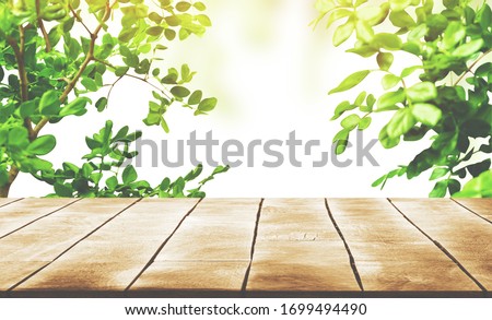 Wooden table top with Green leaves as frame on white background