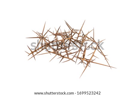 Sharp spikes on a white background isolate. Abstract element.