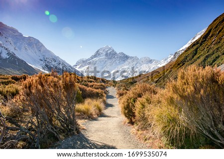 Spectacular view of Aoraki Mount Cook from the Hooker Valley hiking trail. Deep blue sky background, white snow covered mountain and colourful scrub vegetation in the foreground Royalty-Free Stock Photo #1699535074