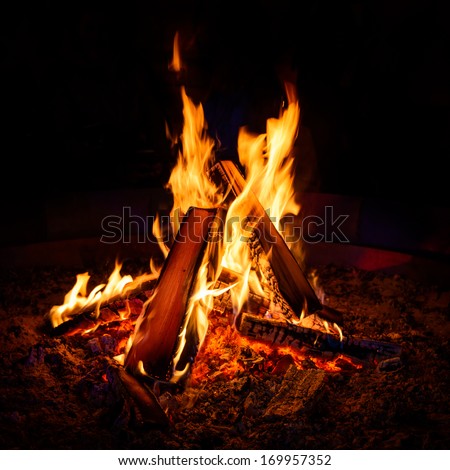 Camp fire in the night Royalty-Free Stock Photo #169957352