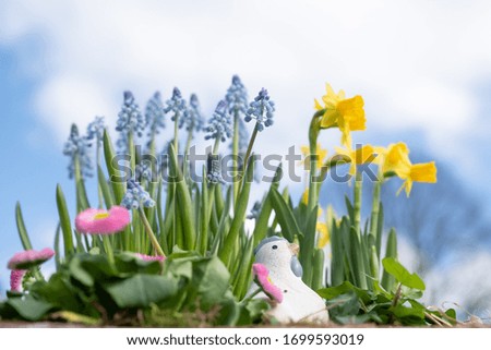 Spring floral with a chicken, beautiful fresh flowers, isolated on blue sky background