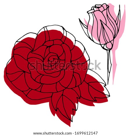 Vector drawing flowers roses. Nature. Sketch, illustration.