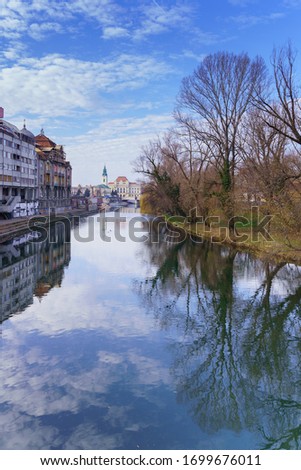 Portrait view upon the river Fast Crisu, in Oradea, with the reflections of antique buildings and winter nature