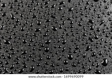 close-up view of water drops on black hydrophobic surface macro sith selective cous and background blur