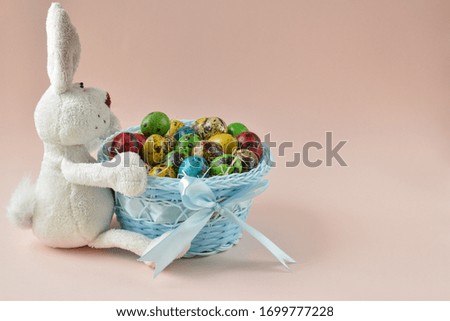 Easter bunny in a hug with Easter eggs. Rabbit sits in a hug with a blue basket in which lay Easter eggs.
