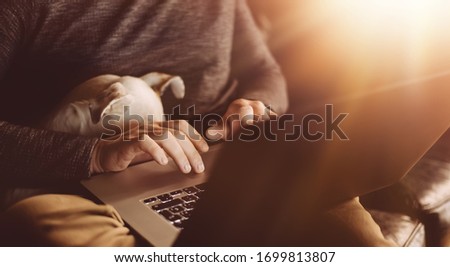 Close-up photo of male hands with laptop. Man is working remotely at home and his dog is sleeping nearby