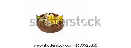 Easter quail eggs in a wooden bowl with yellow flowers on a white background. Catholic and Orthodox Easter