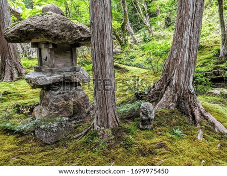 Japanese Green Forest Outside Shrine
