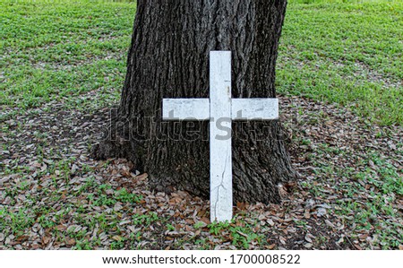 A simple white cross outside, that is leaning on a tree and surrounded by green grass. This picture is taken in the small town of Wimberley,  Texas.