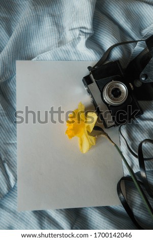 empty paper, camera and a flower