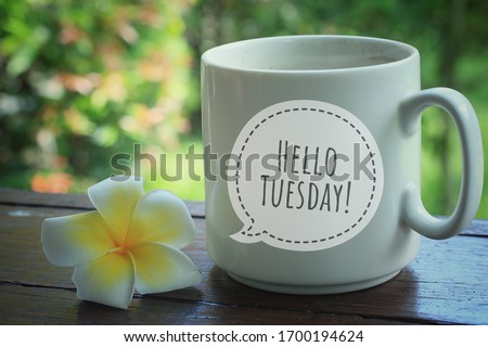 Tuesday greeting welcoming another new day - Hello Tuesday message text on on a white cup of coffee or tea with a yellow Bali frangipani flower. On background of blur green garden.