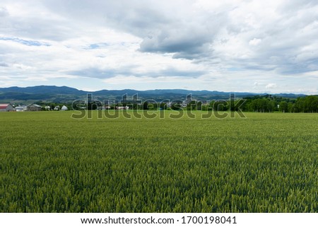 Beautiful landscape with green meadows and cloudy sky