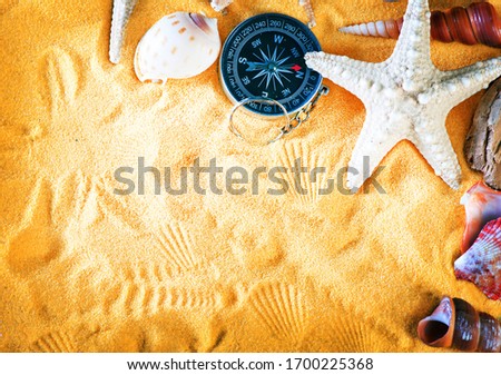 background , sea objects, summer background