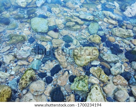 seabed with stones through the water column