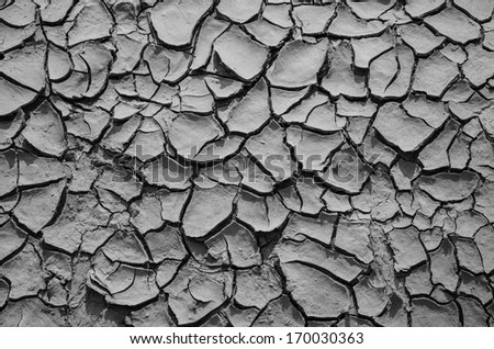 Monochrome cracked soil backgrounds
