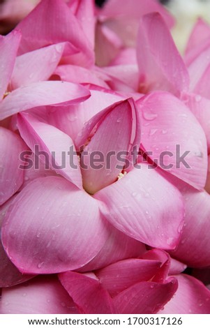 Close up picture of flowers sale at buddhist pagoda in Myanmar