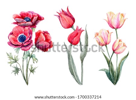 Beautiful watercolor floral set with gentle spring flowers. Stock illustration.