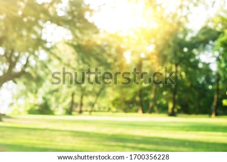 Blur nature bokeh green park by beach and tropical coconut trees in sunset time. Royalty-Free Stock Photo #1700356228