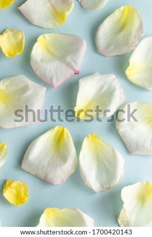 Fresh pastel colors background with rose petals, creation creative concept
