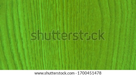 light green texture background backdrop for graphic design