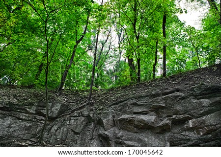  mountain forest. beautiful background of stone, moss.