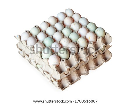 Duck eggs in the egg box isolated picture on white background attach clipping path