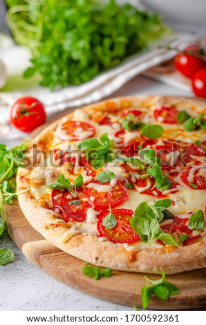 Delicious simple pizza with tomatoes, mozzarella and herbs