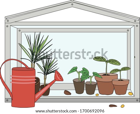 Home gardening: window greenhouse with plants and a red watering can for watering. Vector drawing.