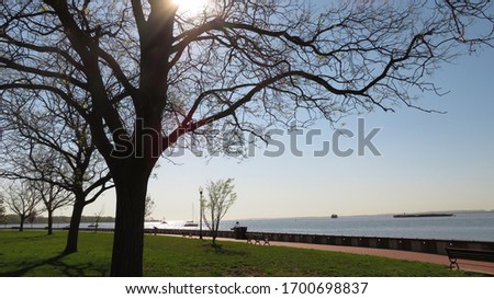 Beautiful Beachside Waterfront Scenery Picture