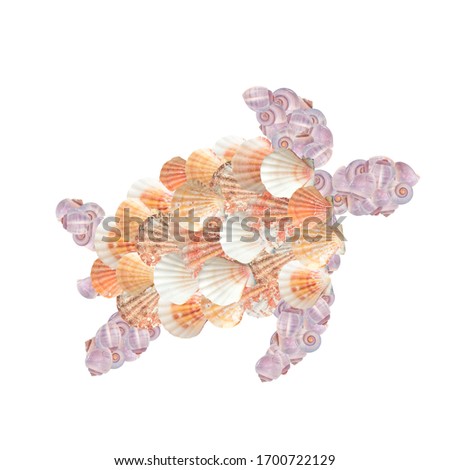Sea ​​turtle- souvenir silhouette. Ocean clip art on white background