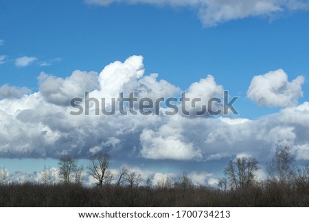 Trees without leaves against a background of cumulus colorful clouds in the sky