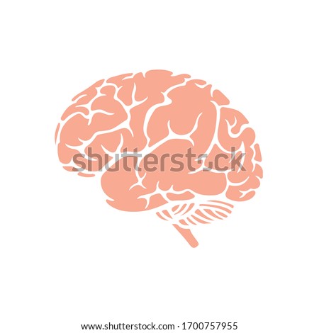 Brain Icon for Graphic Design Projects Royalty-Free Stock Photo #1700757955