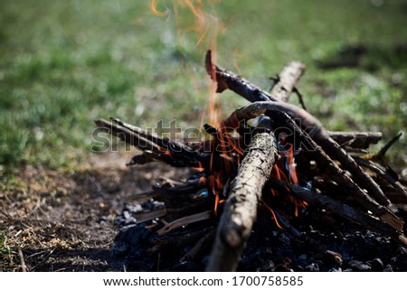 Close-up picture of bonfire, made of dry branches, outside on green grass at sunny weather in summer.