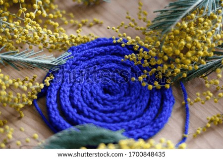 Mimosa flower with green leaves lies on a table with blue threads