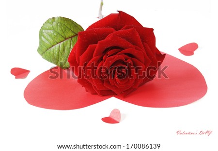 Red rose on paper heart isolated on white background. Valentine's Day concept 