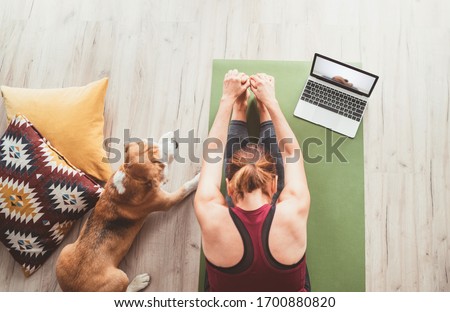 Top view at fit sporty healthy woman sit on mat in Paschimottanasana pose, doing breathing exercises, watching online yoga class on laptop computer. Her beagle dog keeping company next on the floor. Royalty-Free Stock Photo #1700880820