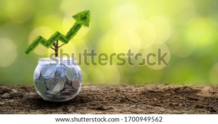 growth business. The tree grows into a shape, pointing up the concepts of financial business growth.
