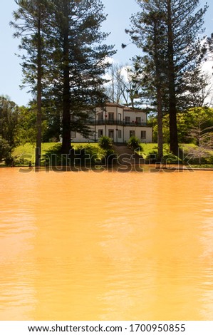 A vertical picture of a hot pool surrounded by greenery under the sunlight in Furnas in Portugal