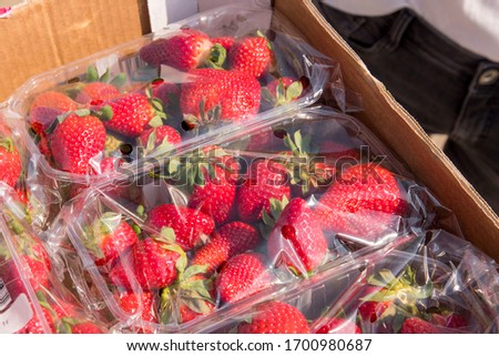 Strawberries wrapped in foil in the hand of a woman