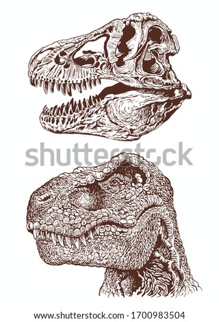 Graphical vintage sketch of tyrannosaurus  and skull, sepia background, vector illustration , cover