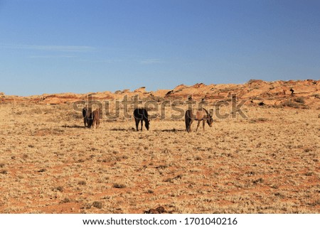 Monument Valley with  Desert Landscape Arizona Native American Indian