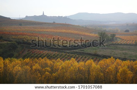 Autumn in the vineyards of La Rioja. Panoramic view. Sunset in Briones village.