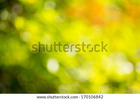 Autumn bright bokeh background. Natural beauty background.